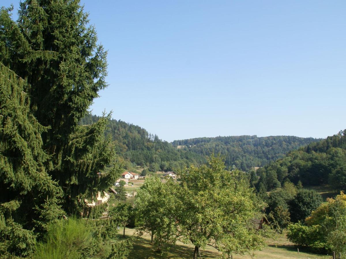 Charming Chalet In Ventron With Terrace Bilik gambar